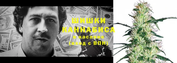 PSILOCYBIN Алексеевка
