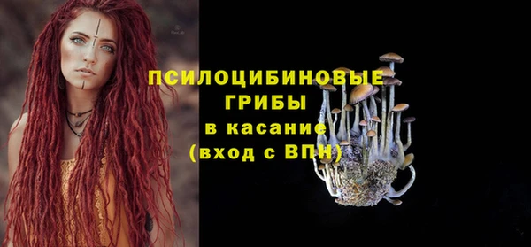 a pvp Алзамай