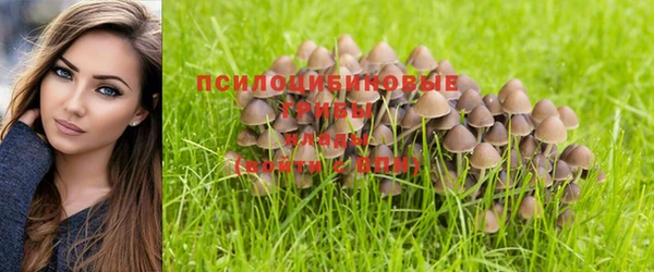 a pvp Алзамай