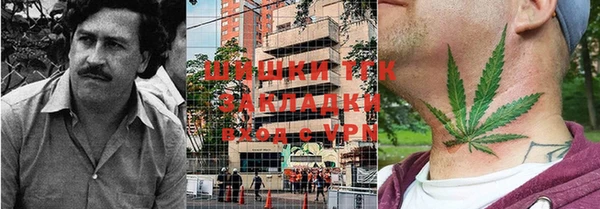 a pvp Алзамай