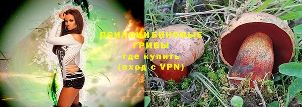 PSILOCYBIN Алексеевка