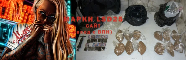 PSILOCYBIN Алексеевка